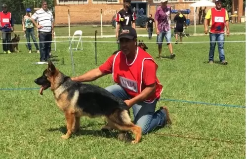Fotos que marcam nossa história