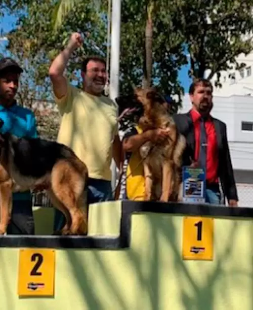 Fotos que marcam nossa história