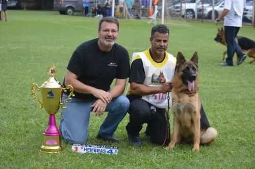 Raika - Sieger CBPA 2019